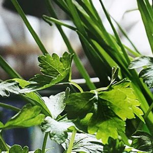 Keukensale; duurzaam wonen Keukensale; duurzaam wonen