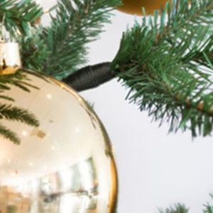 Praxis; kerstbomen Praxis; kerstbomen