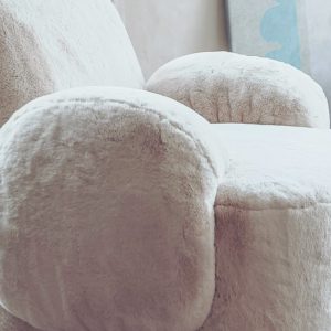 Goossens; fauteuil Nomi Goossens; fauteuil Nomi